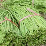 Vegetables : Yardlong