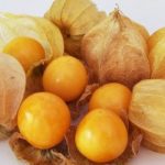 Fruits : Physalis