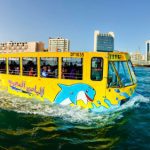 Amphibious-buses