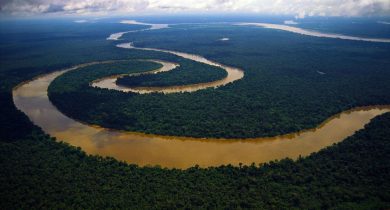 Amazon.River