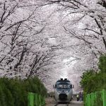 Gyeonghwa Station (South Korea)