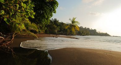 Corcovado-National-Park-Southern-Pacific-Costa-Rica