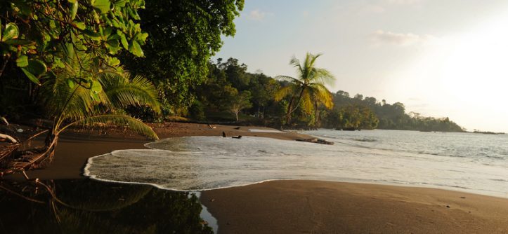 Corcovado-National-Park-Southern-Pacific-Costa-Rica