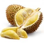 Fruits : Durian