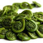 Vegetables : Fiddleheads