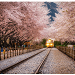 Gyeonghwa Station (South Korea)