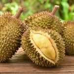 Fruits : Durian
