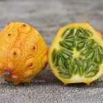 African Horned Cucumber