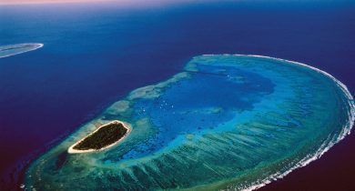 Lady-Musgrave-Island