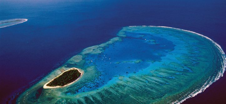 Lady-Musgrave-Island