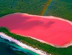 Lake-Hillier