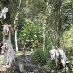 Island of Dolls, Xochimilco, Mexico