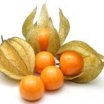 Fruits : Physalis