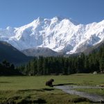Nanga Parbat