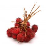 Fruits : Rambutan