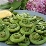 Vegetables : Fiddleheads