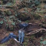 The-haunted-forest Aokigahara , Japan