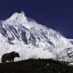 Mount Manaslu