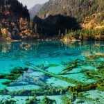 Five-Flower Lake, Sichuan, China