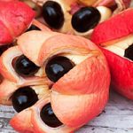 Fruits : Ackee