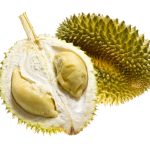 Fruits : Durian