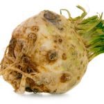 Vegetables : Celeriac