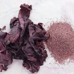 Vegetables : Dulse