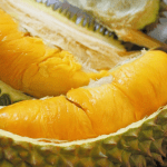 Fruits : Durian
