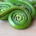 Vegetables : Fiddleheads
