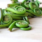 Vegetables : Fiddleheads