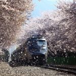 Gyeonghwa Station (South Korea)