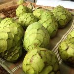 Fruits : Cherimoya
