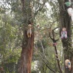 Island of Dolls, Xochimilco, Mexico