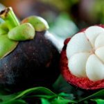 Fruits : Mangosteen
