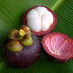 Fruits : Mangosteen