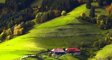 Black Forest, Germany