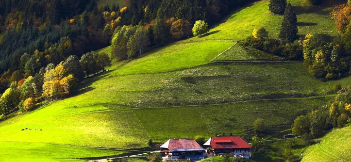 Black Forest, Germany