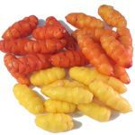 Vegetables : Oca