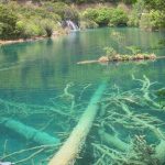 Five-Flower Lake, Sichuan, China