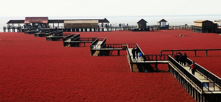 panjin-red-beach-tourists