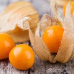 Fruits : Physalis