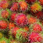 Fruits : Rambutan