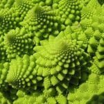 Vegetables : Romanesco