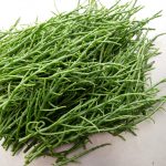 Vegetables : Samphire