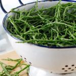 Vegetables : Samphire