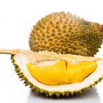 Fruits : Durian