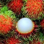 Fruits : Rambutan