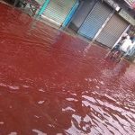 Red Rain in Kerala (India)