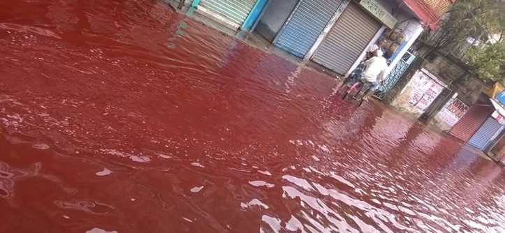 Red Rain in Kerala (India)
