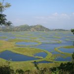 Loktak Fresh Water Lake - Manipur (India)